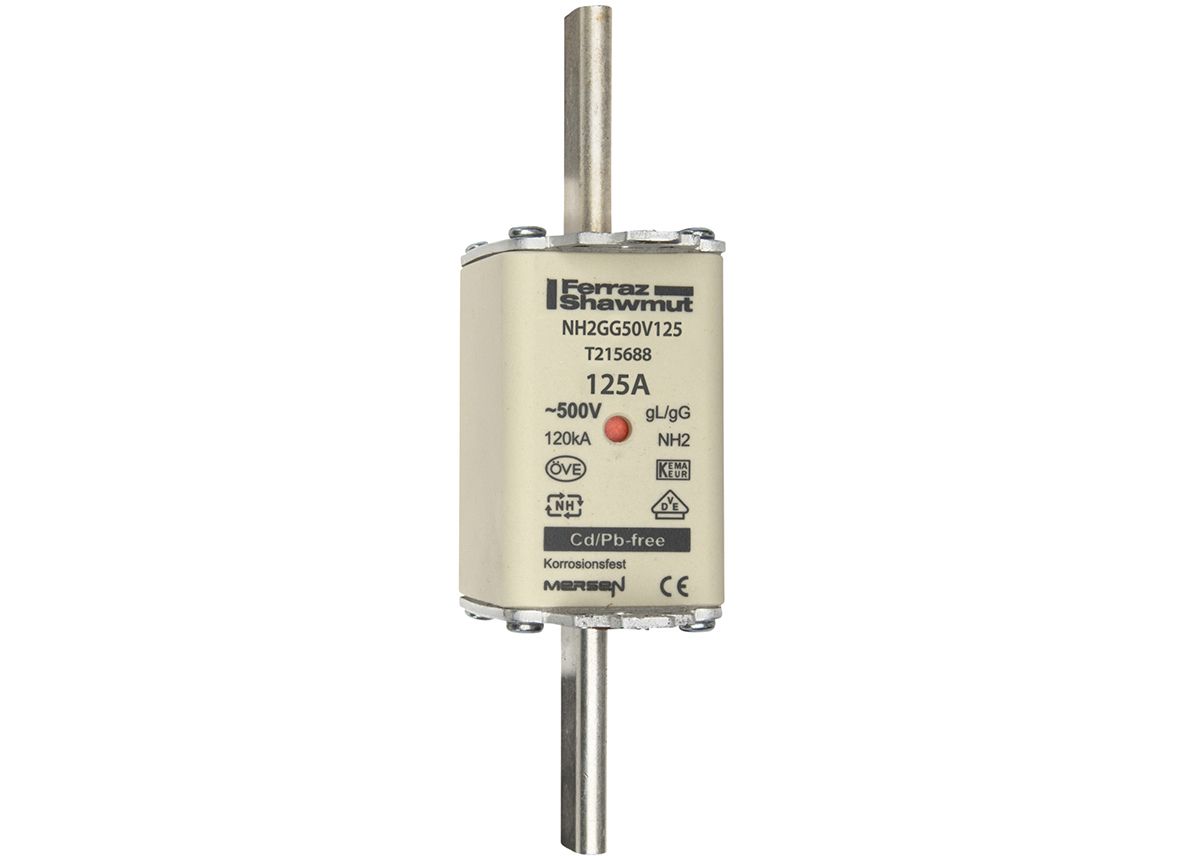 T215688 - NH fuse-link gG, 500VAC, size 2, 125A double indicator/live tags